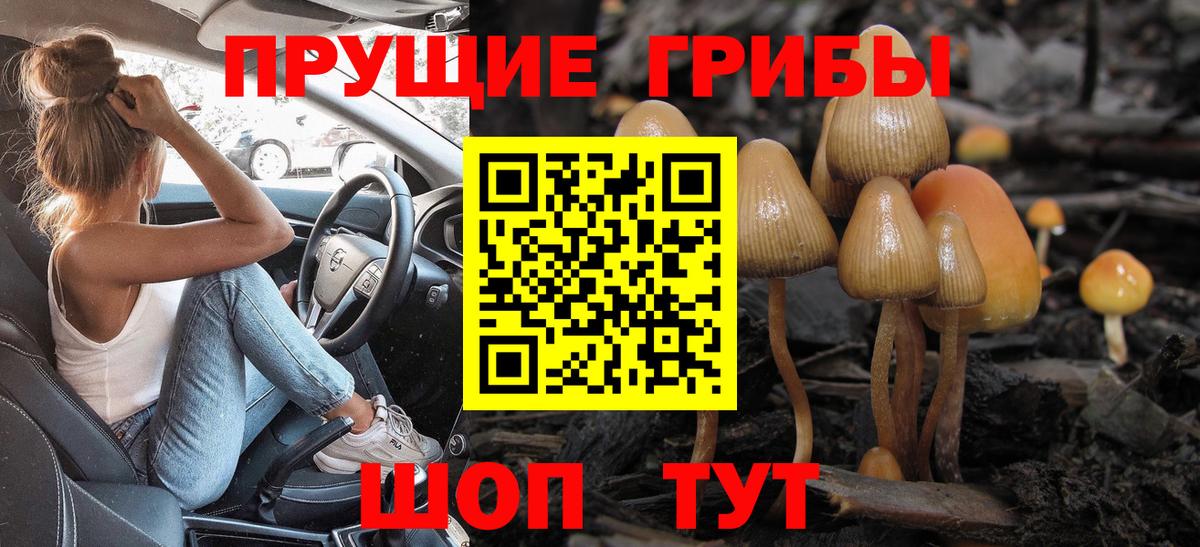 Псилоцибиновые грибы Magic Shrooms Комсомольск-на-Амуре